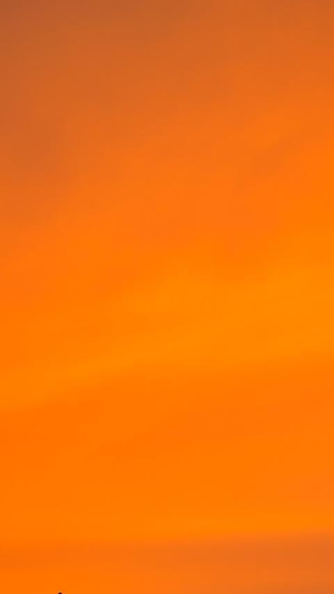 plain color wallpapers