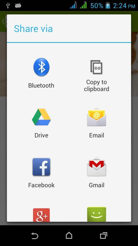 Chicken Legs Recipes