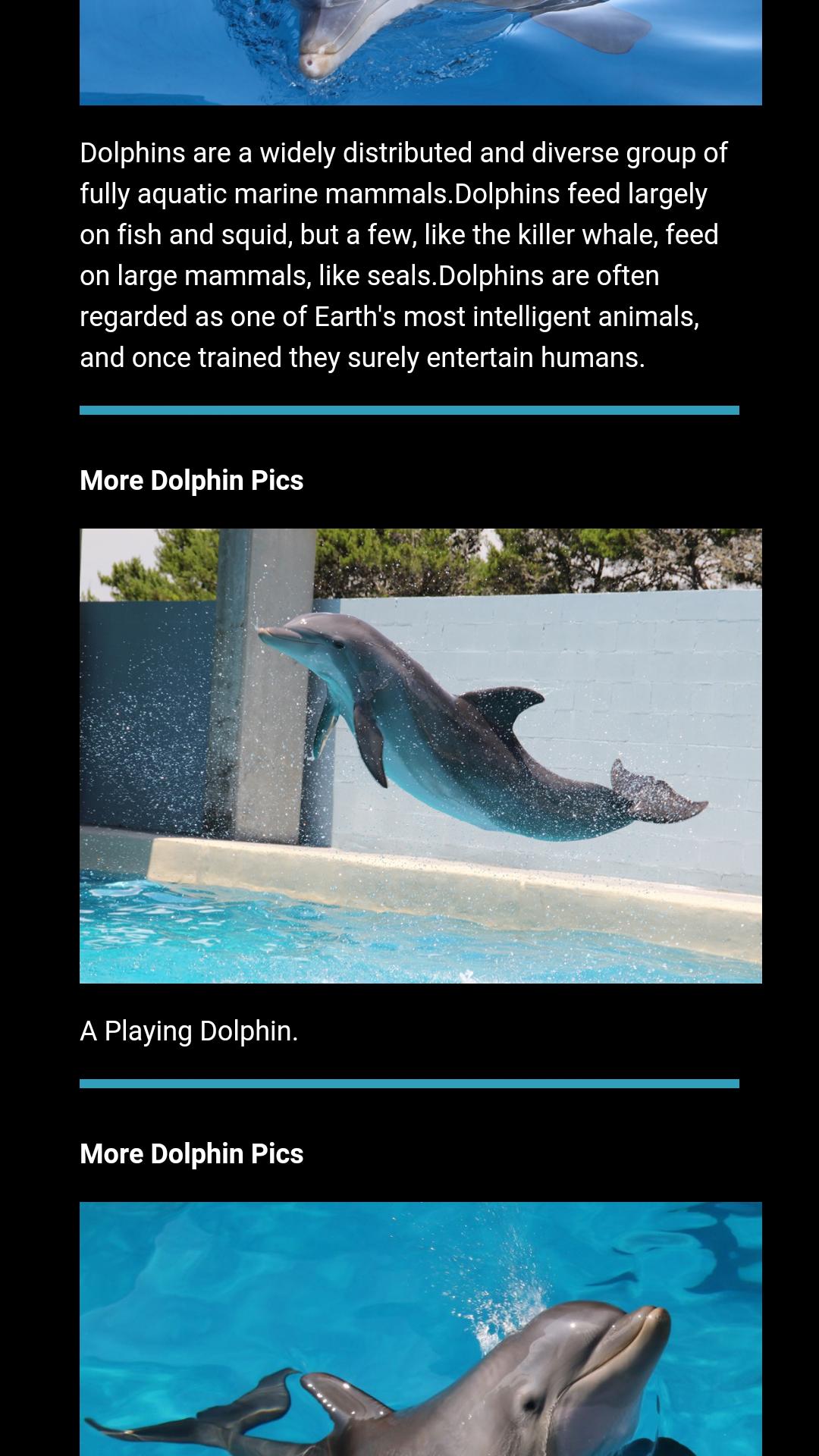 Alphabet - Just for kids