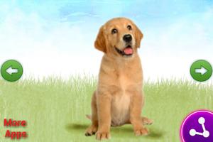 Animal toddler for kids FREE