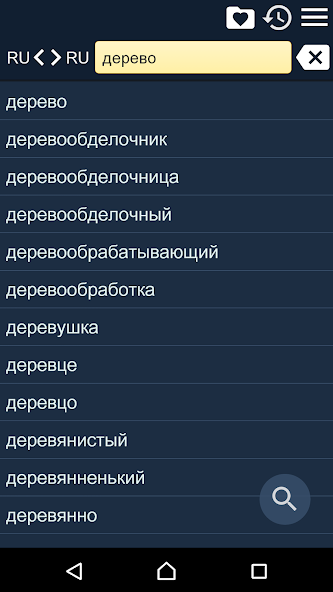 Russian Explan. Dictionary
