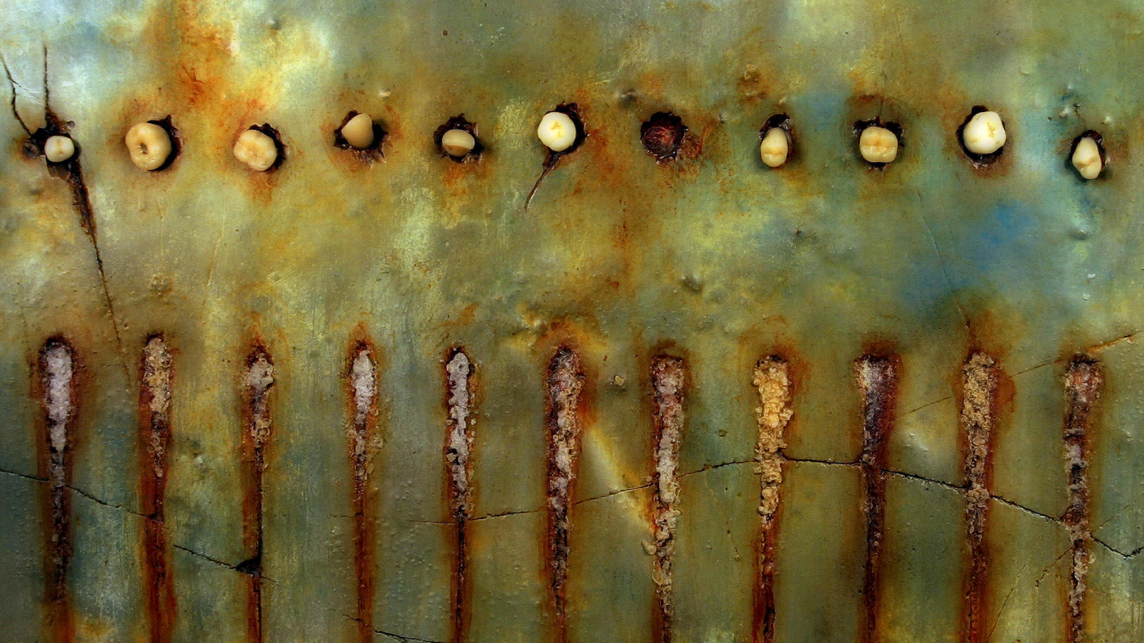 Entwined Social Media Radio