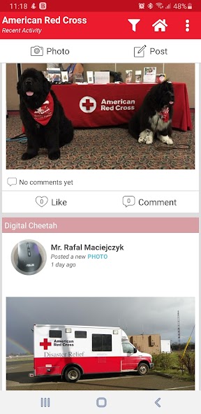 Volunteer Connection