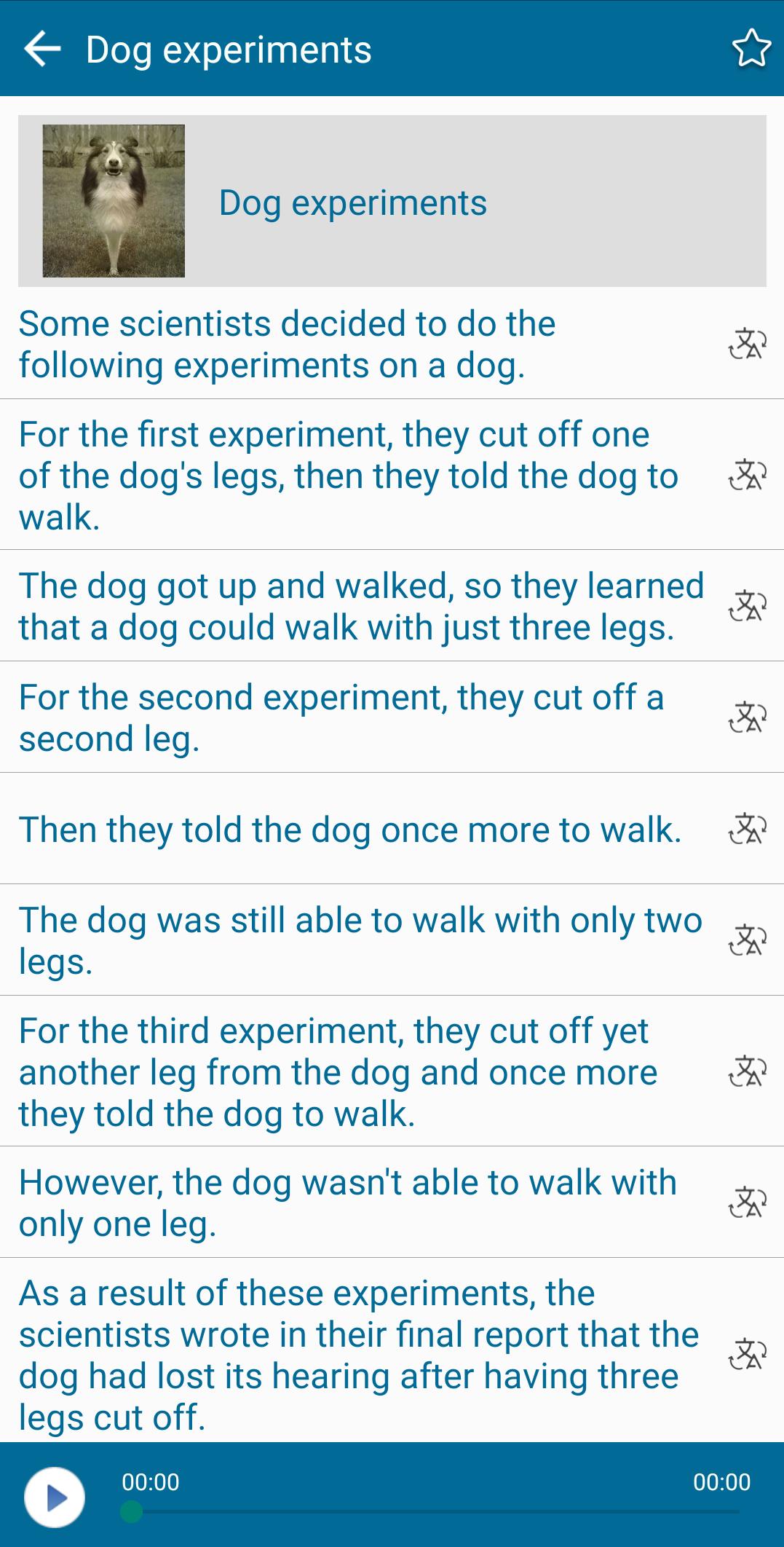 Funny Story - English Study