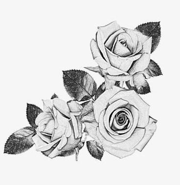 Rose Tattoo Design