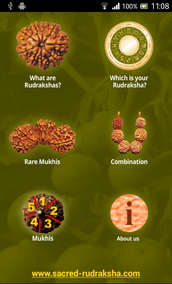 Rudraksha