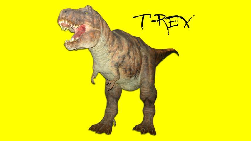 Toddler Animal Sounds - Roars!