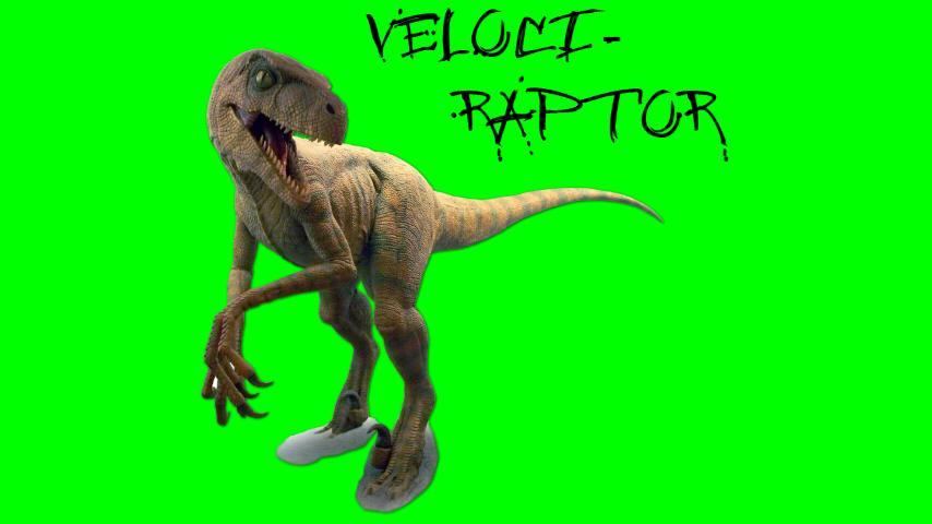 Toddler Animal Sounds - Roars!