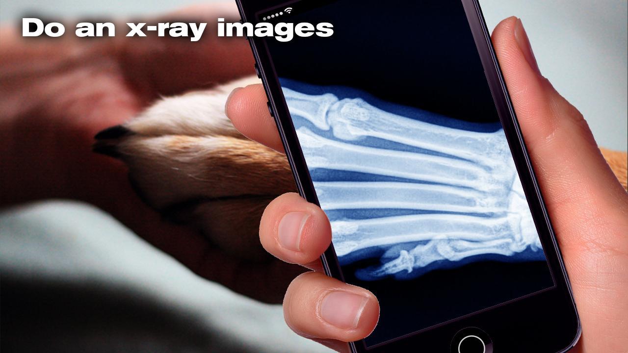 X-ray Dog Simulator