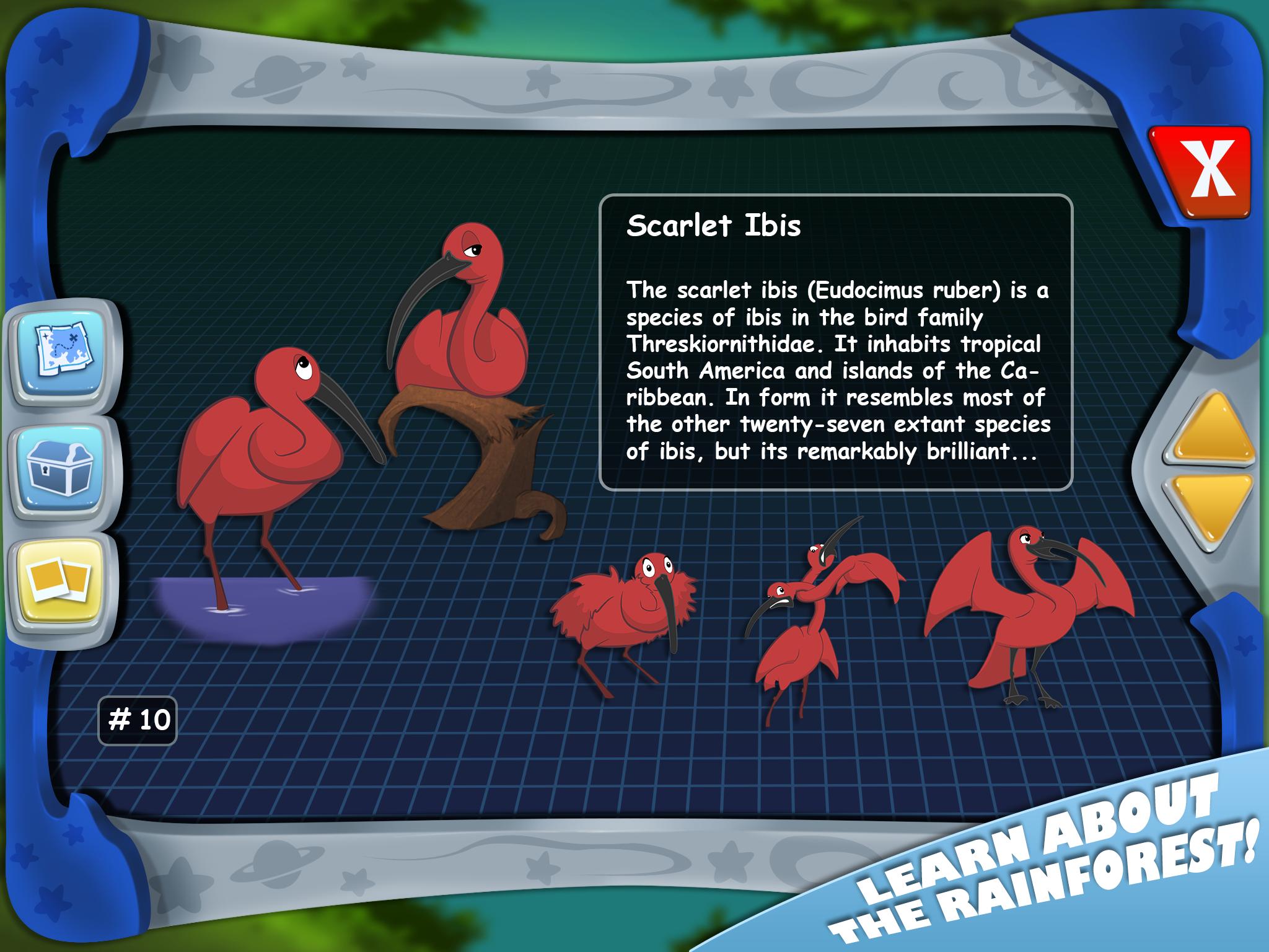 Nono's Adventure in Amazonia