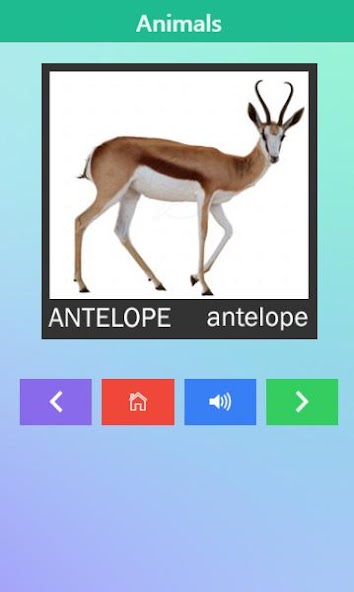 Learn to Talk for Toddler