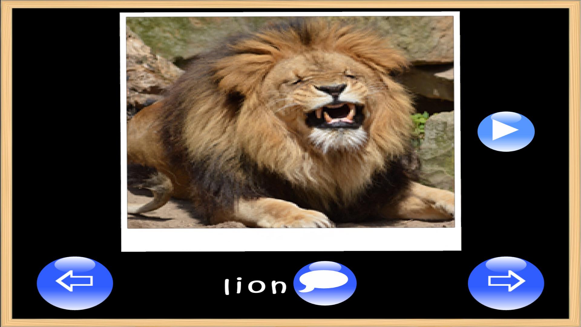 Kids Picture & Sound Games