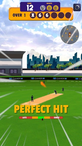 Cricket Sixes Game