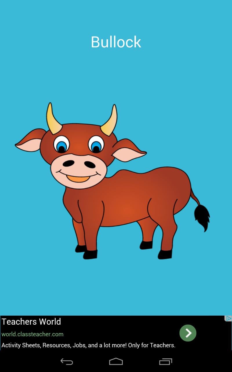 Farm Animals Toddler