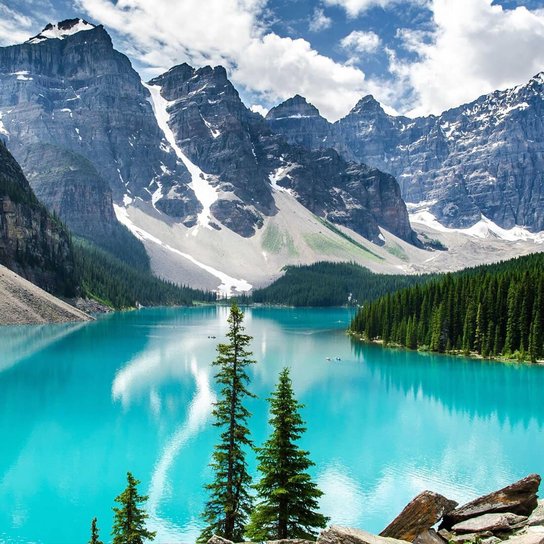 Beautiful Live Wallpaper