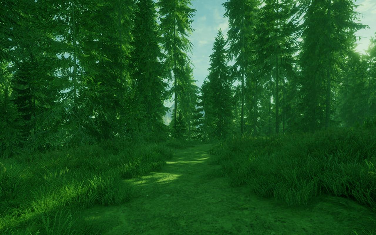 The Hunter: The Wild is call