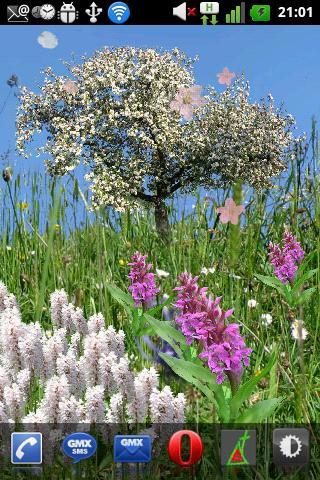 Spring Flowers Free Wallpaper