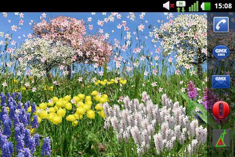 Spring Flowers Free Wallpaper