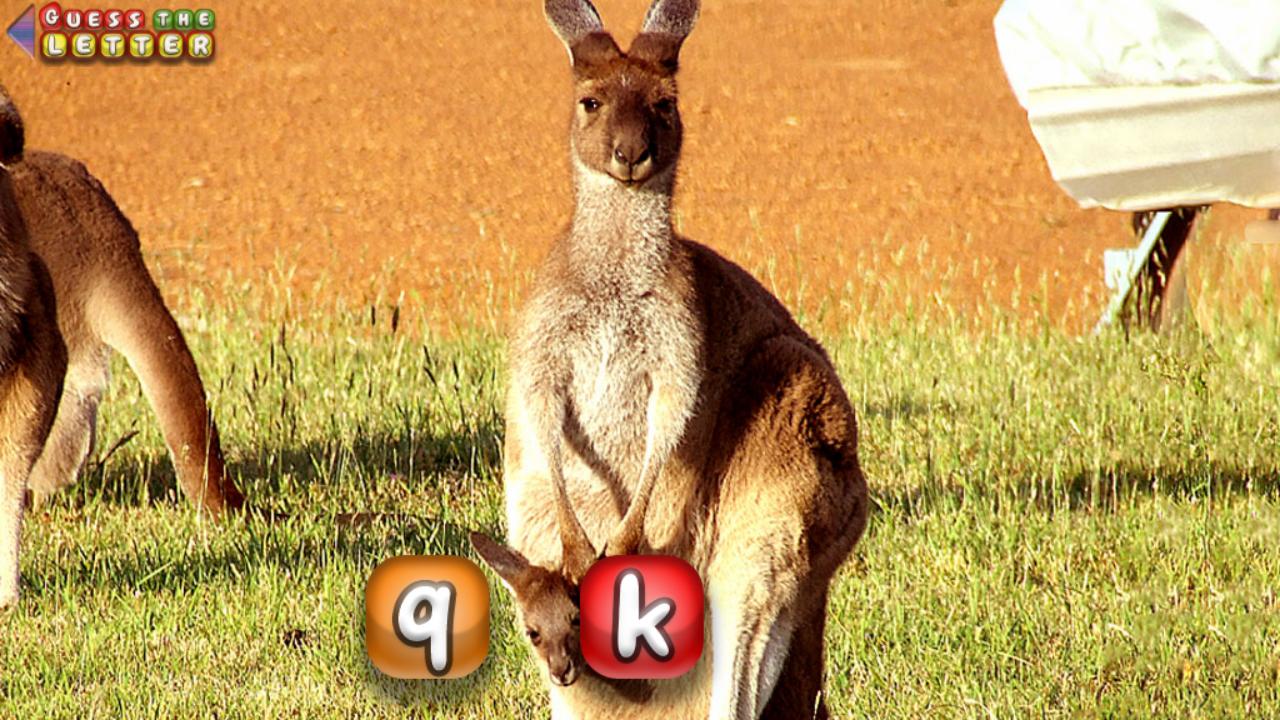 Tebak Gambar Untuk Anak