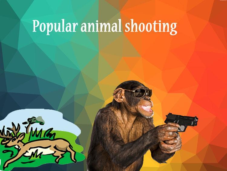 animal shooting games