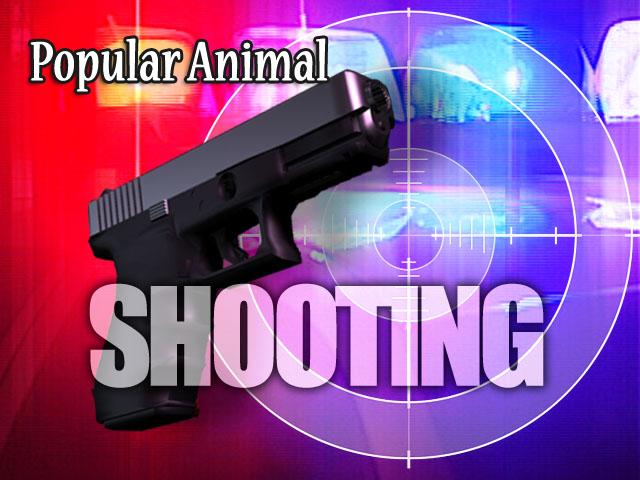 animal shooting games
