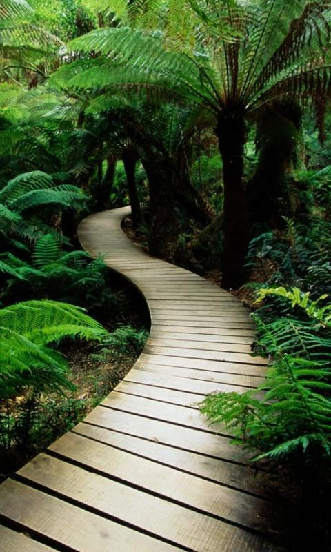 Note Edge HD Wallpapers