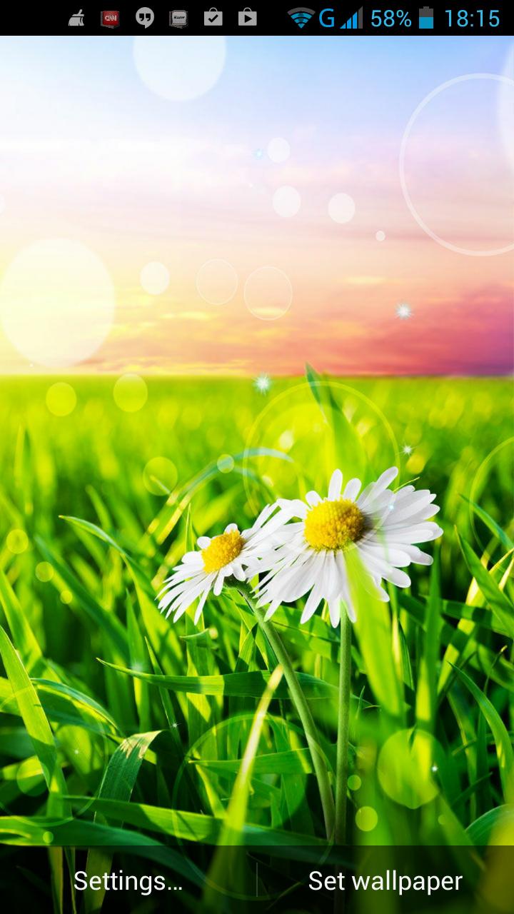 Nature Bliss Live Wallpaper