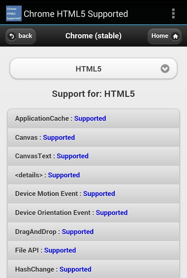 HTML5 Supported for Chrome?