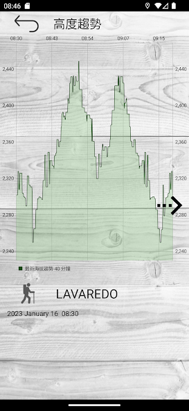 Altimeter professional
