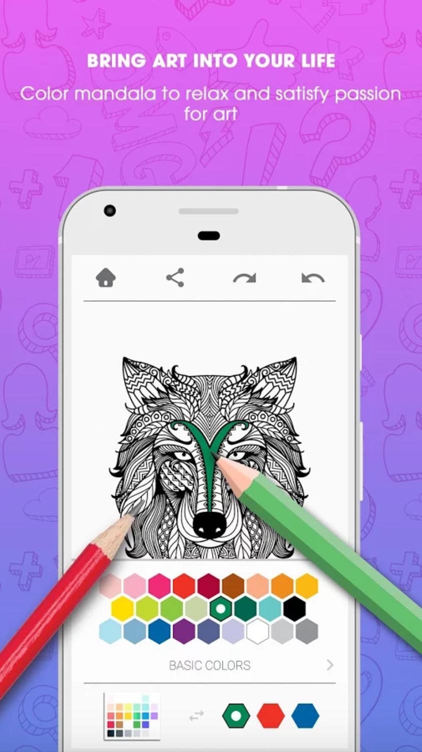 Mandala Coloring Book