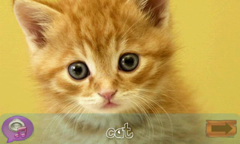 Kids Animal Quiz Lite