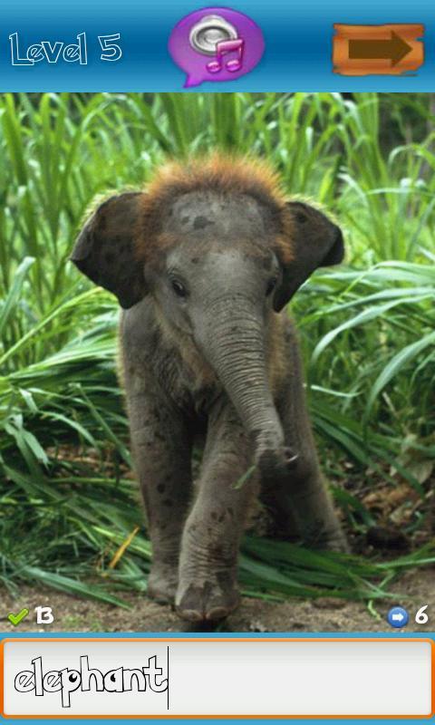 Kids Animal Quiz Lite