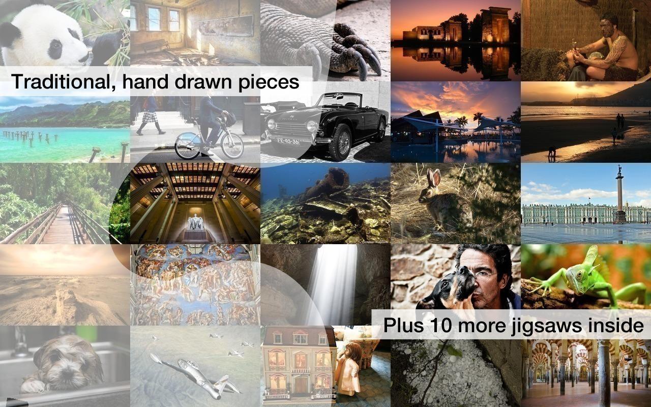 Jigsaw Puzzles: Amazing