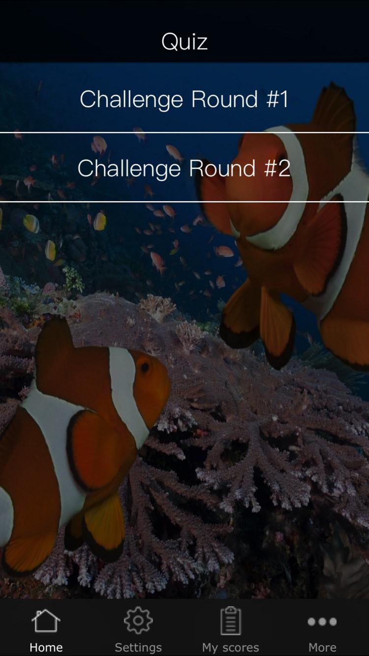 Quiz for Finding Dory