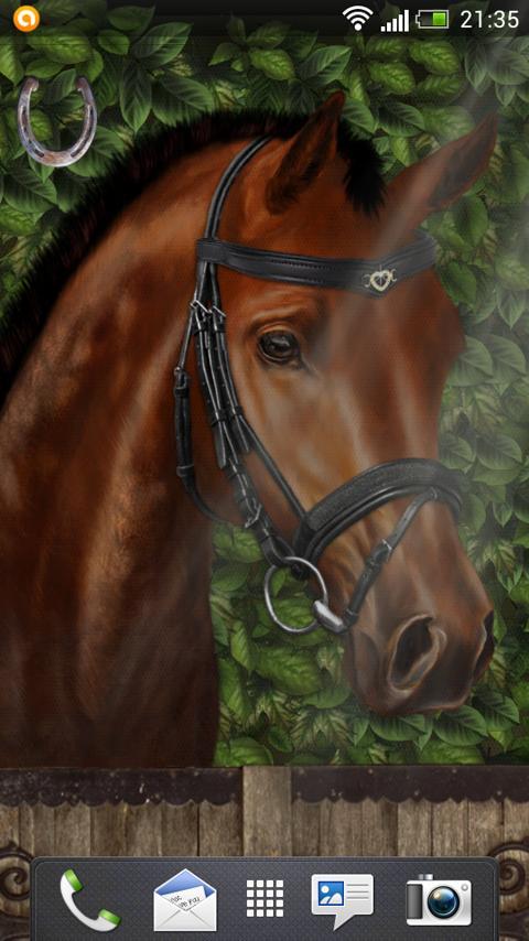 Arabian Horse Free Wallpaper