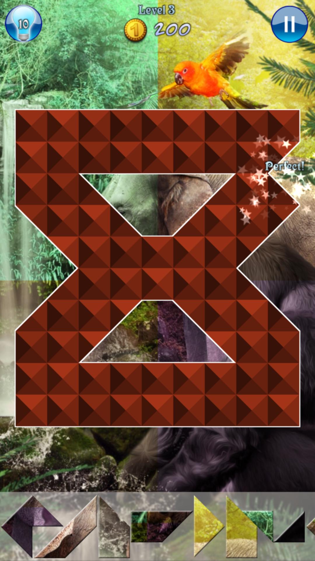 Hidden Pieces: Into The Wild