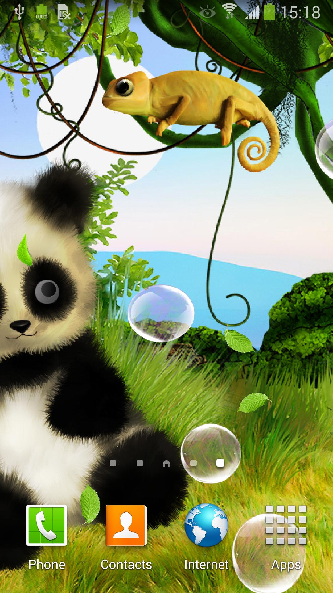 Panda Live Wallpaper