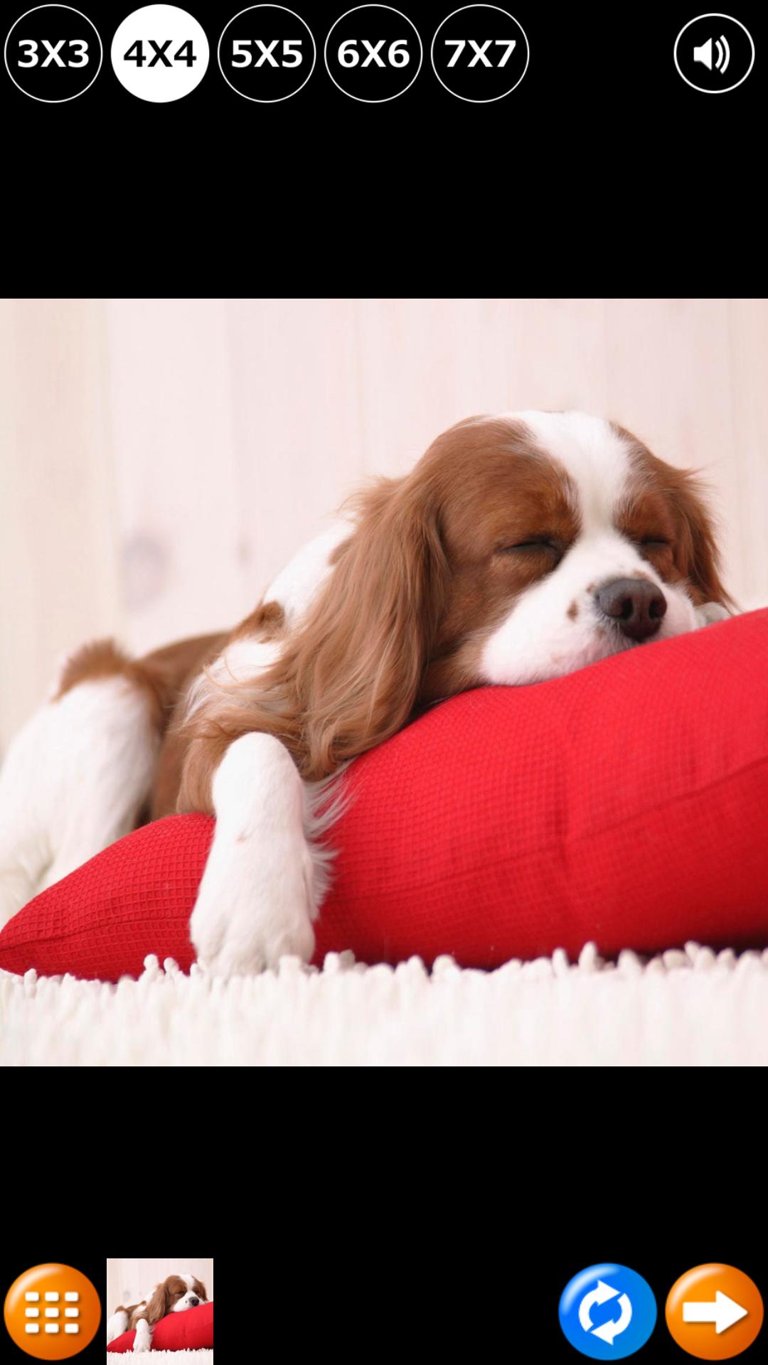 Tile Puzzle: Cute Puppies