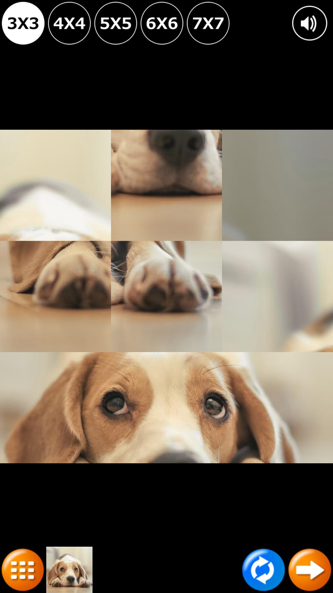 Tile Puzzle: Cute Puppies