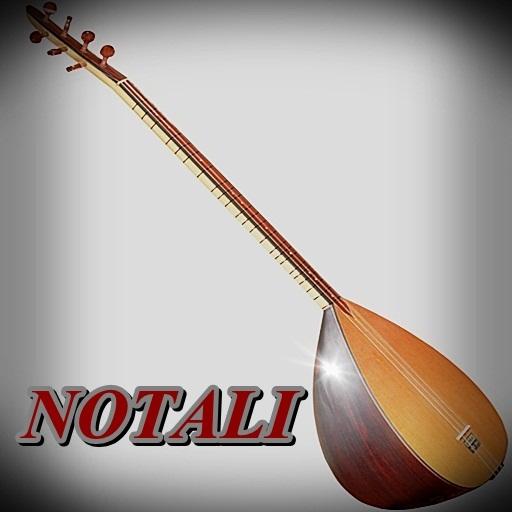 Virtual Baglama