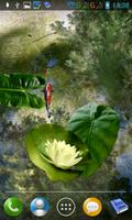 Koi pond
