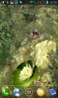 Koi pond