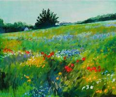 Painter beginners