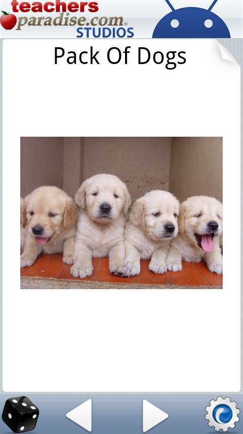 Animal Photos-Kids Flashcards