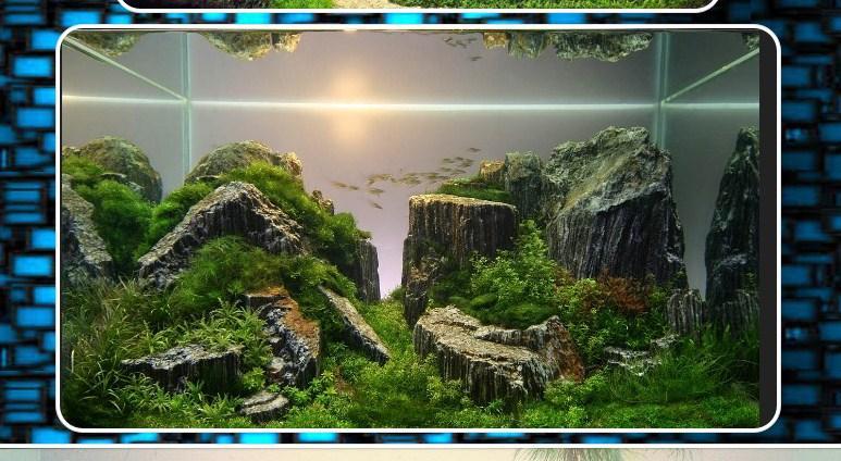 Aqua Scape Design