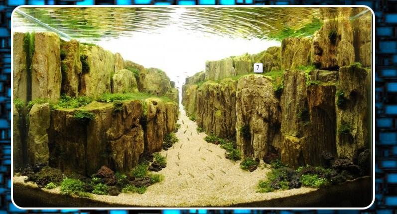 Aqua Scape Design