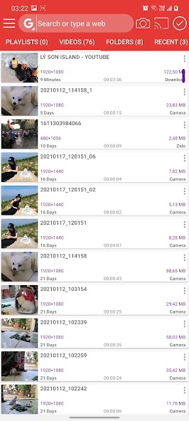 Video player and browser
