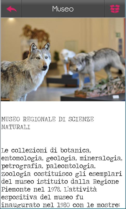 Torino Life