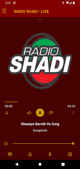 Radio Shadi