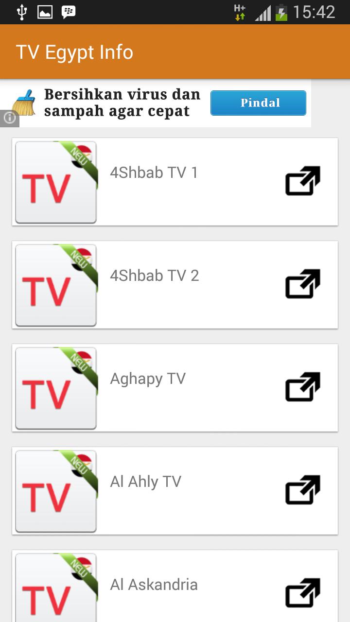 New TV Egypt Online 2